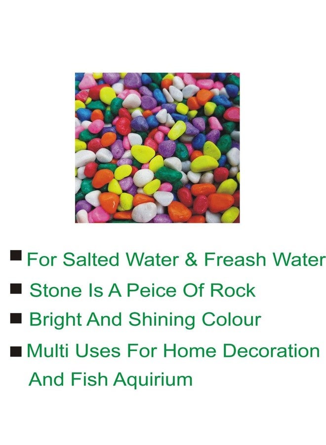 Afast Multicolor Pabbles/Stone for Garden, Plants, Aquarium & Home Decor, Marvels, Decoration, Fish Aquarium, Vase Filler, 0.5 KG -AAU1 - Image 3